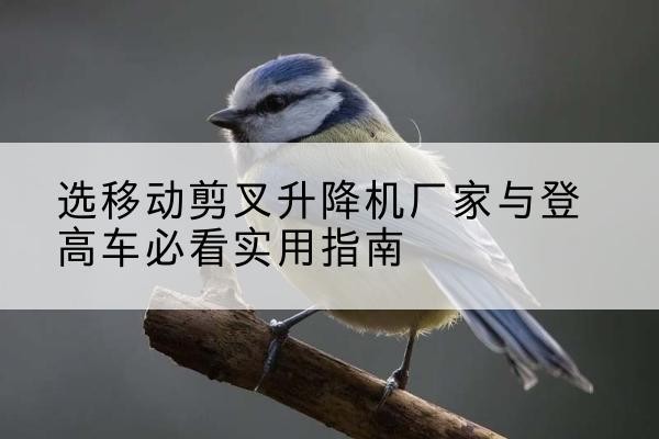 嘉峪关电动升降机厂家-选移动剪叉升降机厂家与登高车必看实用指南