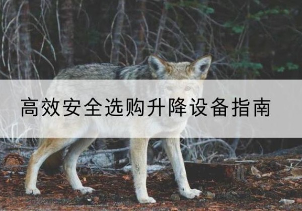 嘉峪关升降货梯厂家推荐-*安全选购升降设备指南